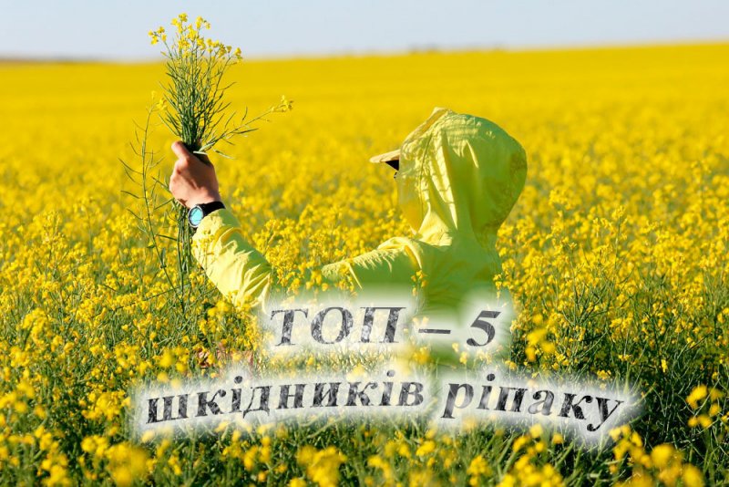 image post