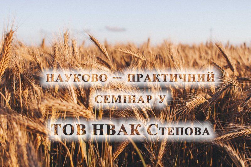 image post