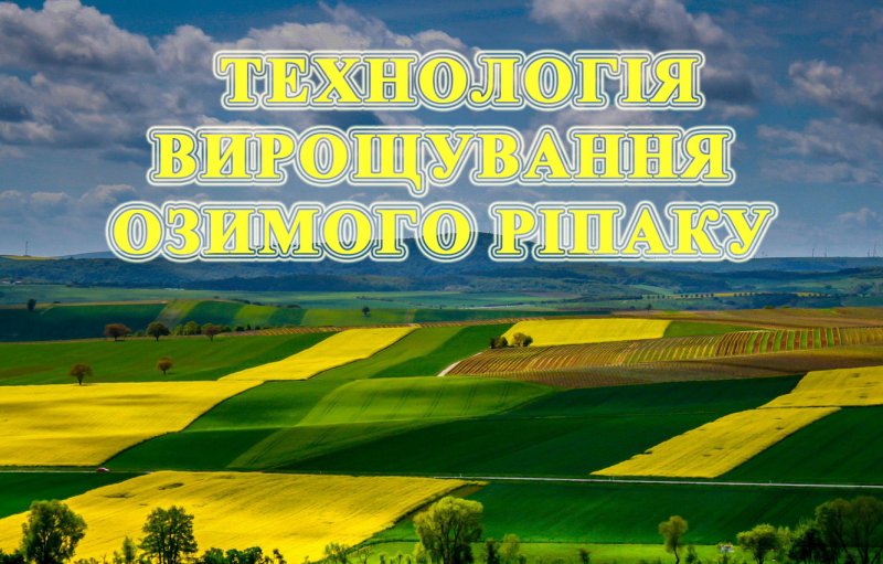 image post
