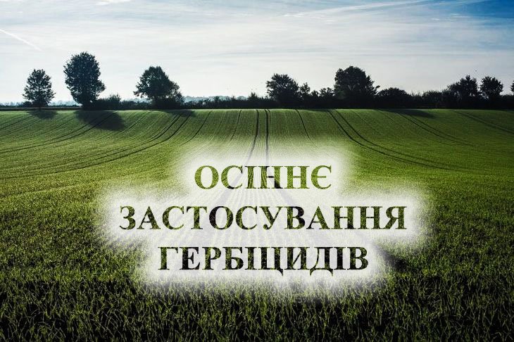 image post