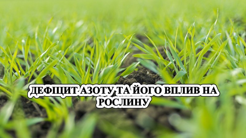 image post