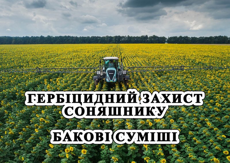 image post